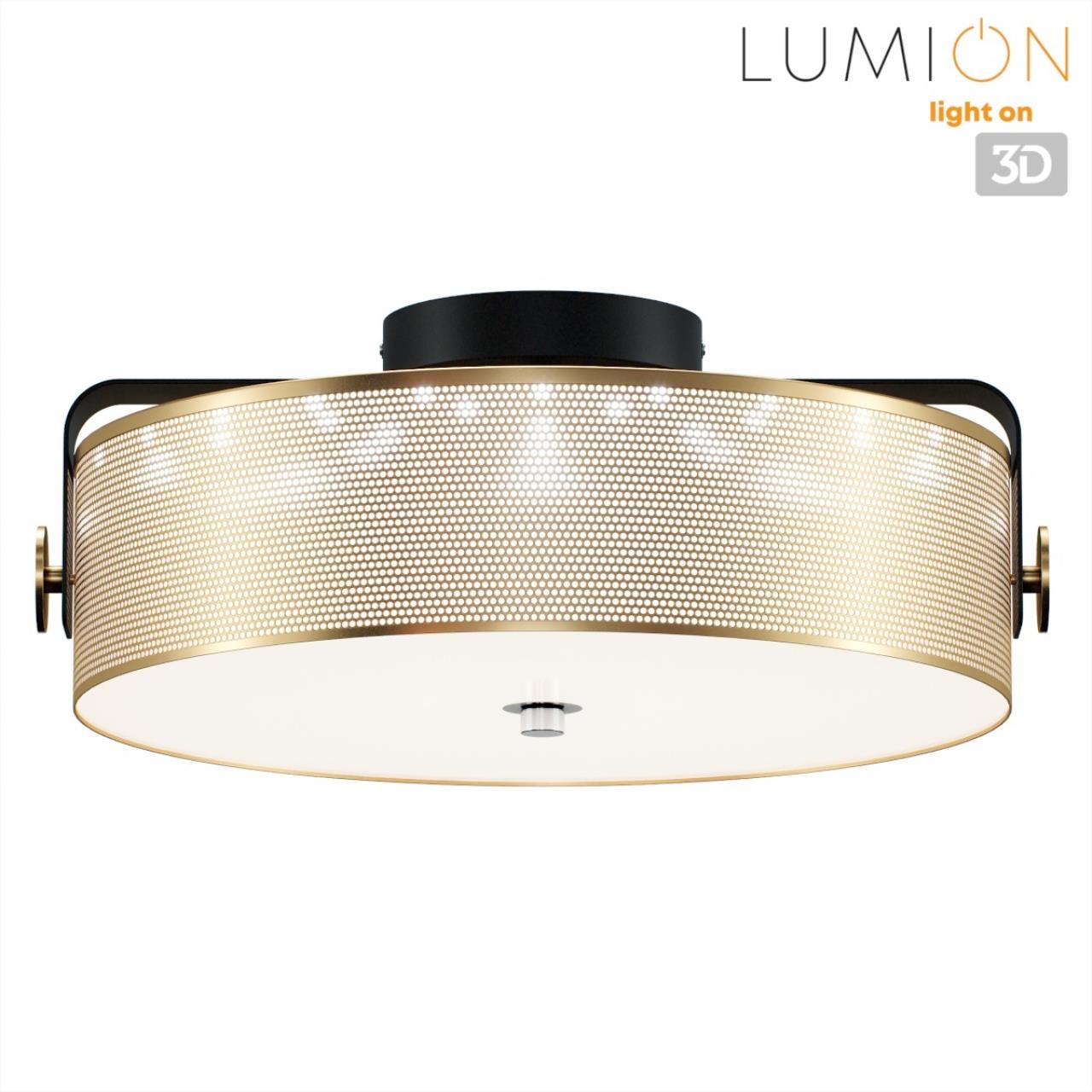 Потолочный светильник LUMION LEDIO DRUMY черный