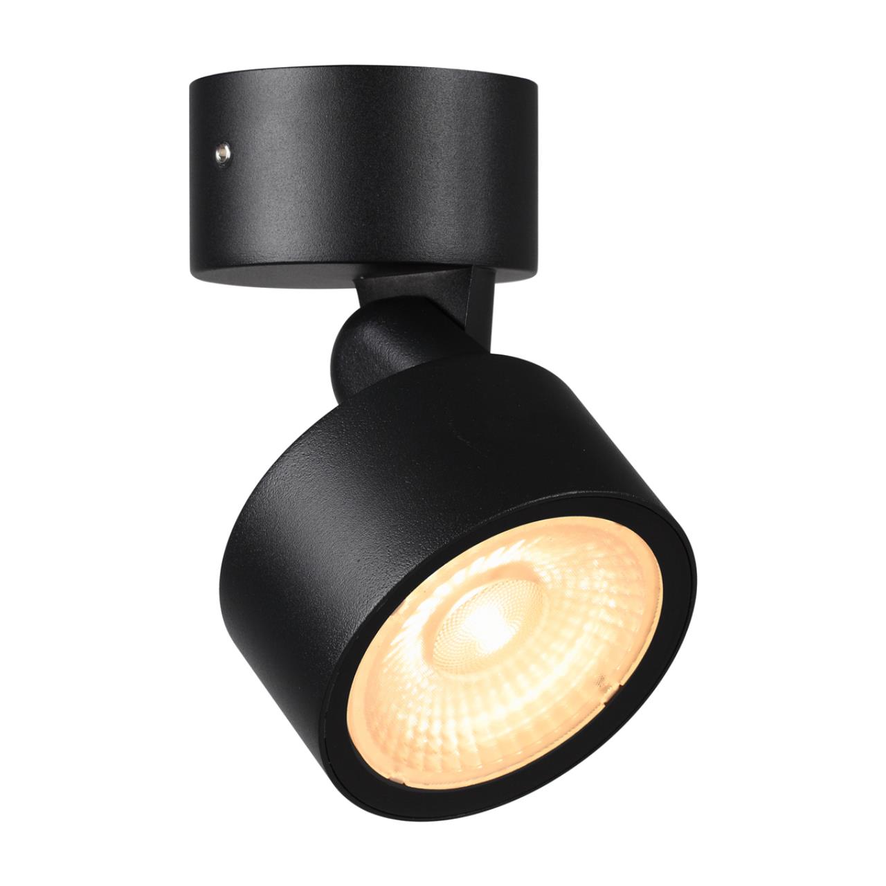 Светильник ландшафтный светодиодный NOVOTECH STREET FOCUS черный LED 12W 3000К