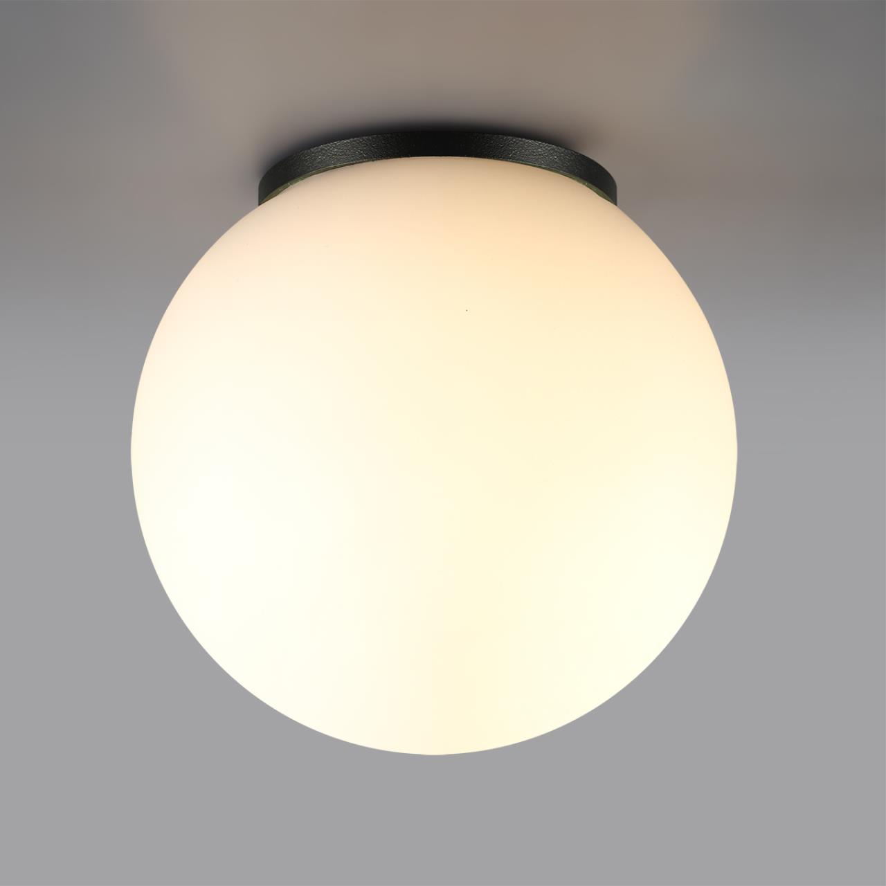 Потолочный светильник ODEON LIGHT NATURE VIVA черный