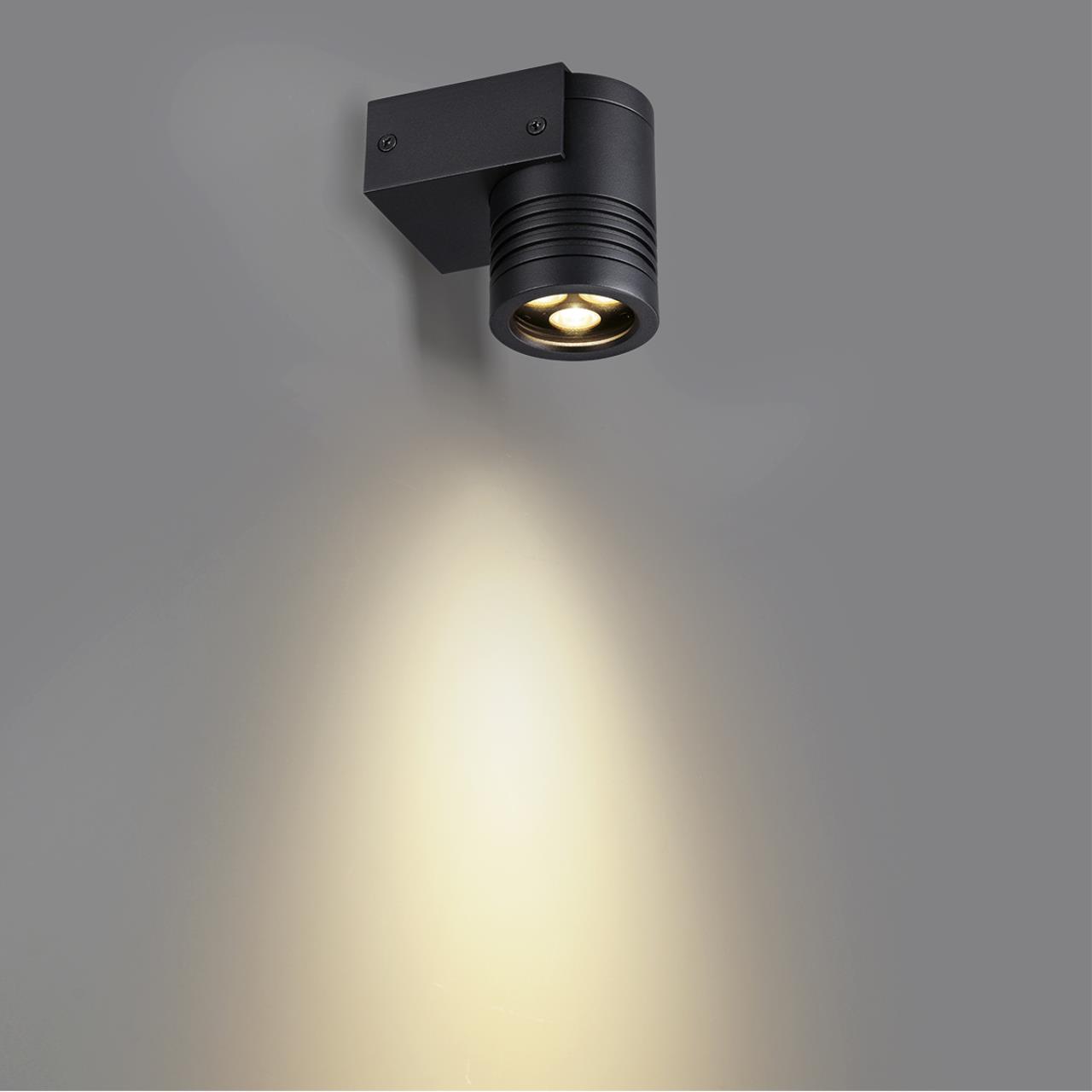 Уличный фасадный светильник ODEON LIGHT NATURE STIMA черный LED*1 6W 3000К плафон черный