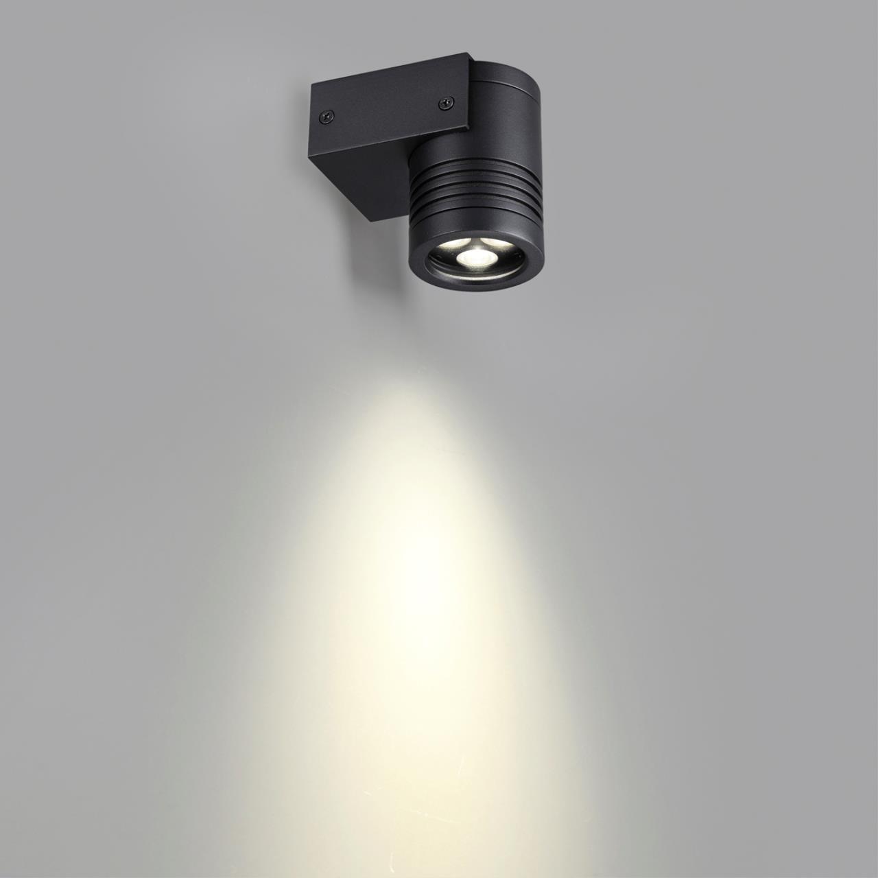 Уличный фасадный светильник ODEON LIGHT NATURE STIMA черный LED*1 6W 4000К плафон черный
