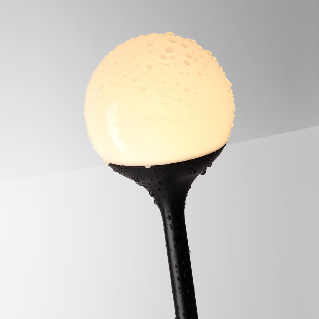 Ландшафтный светильник ODEON LIGHT NATURE DEW черный LED*1 3W 3000К