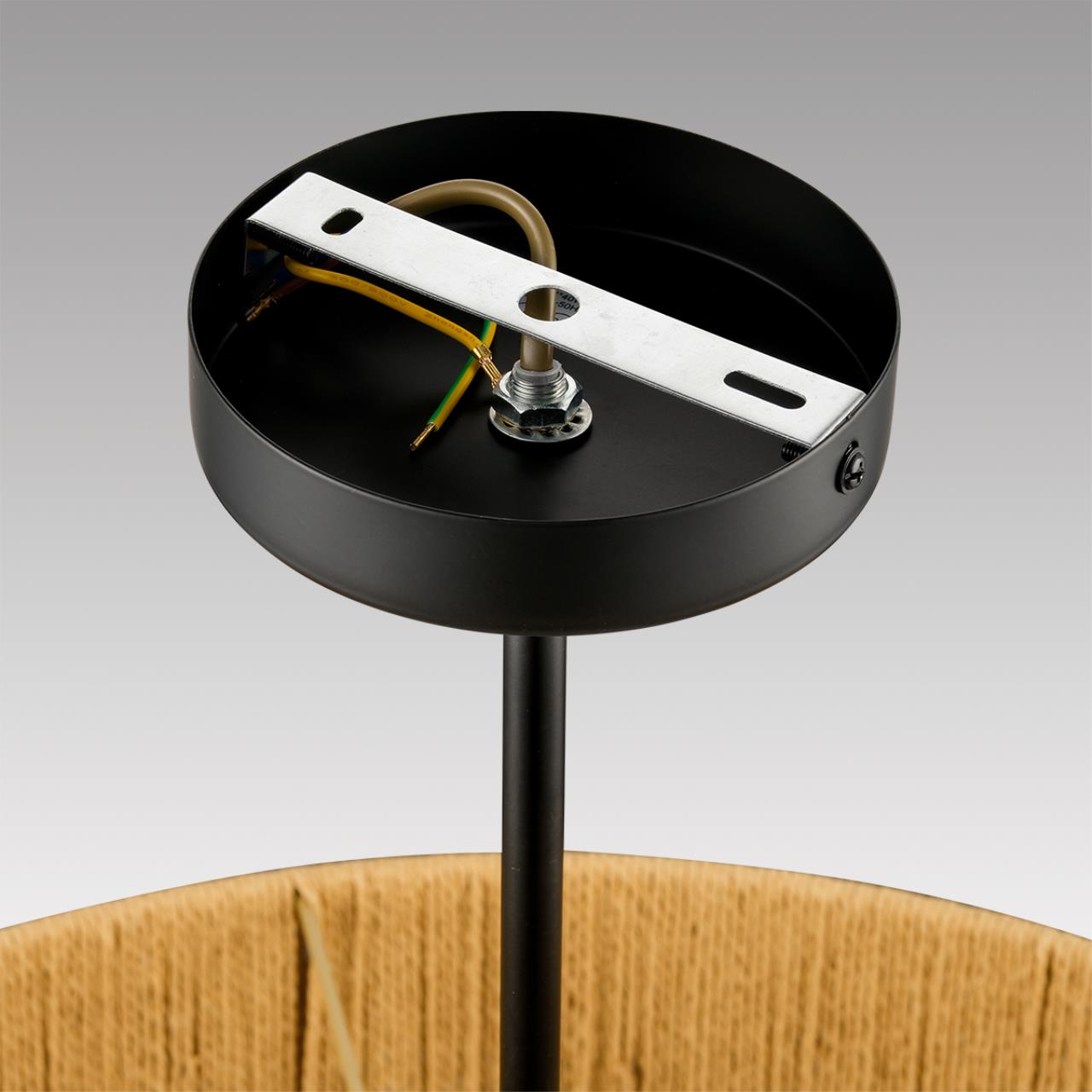 Люстра потолочная LUMION ECO SILVANA черный