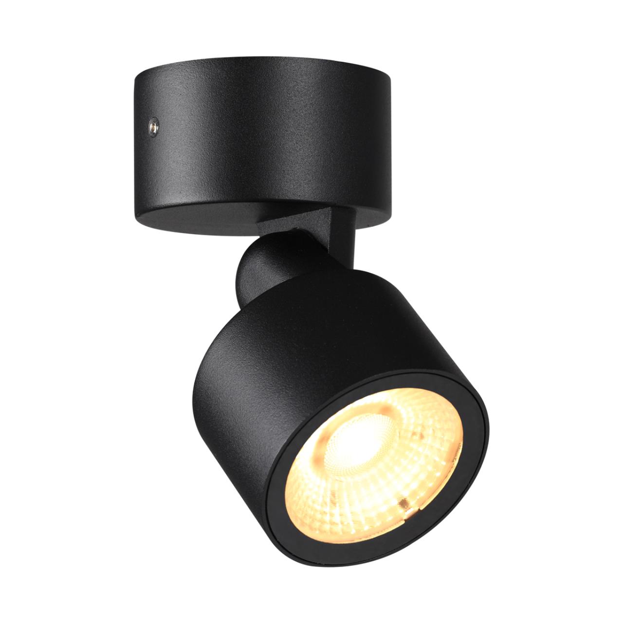 Светильник ландшафтный светодиодный NOVOTECH STREET FOCUS черный LED 9W 3000К