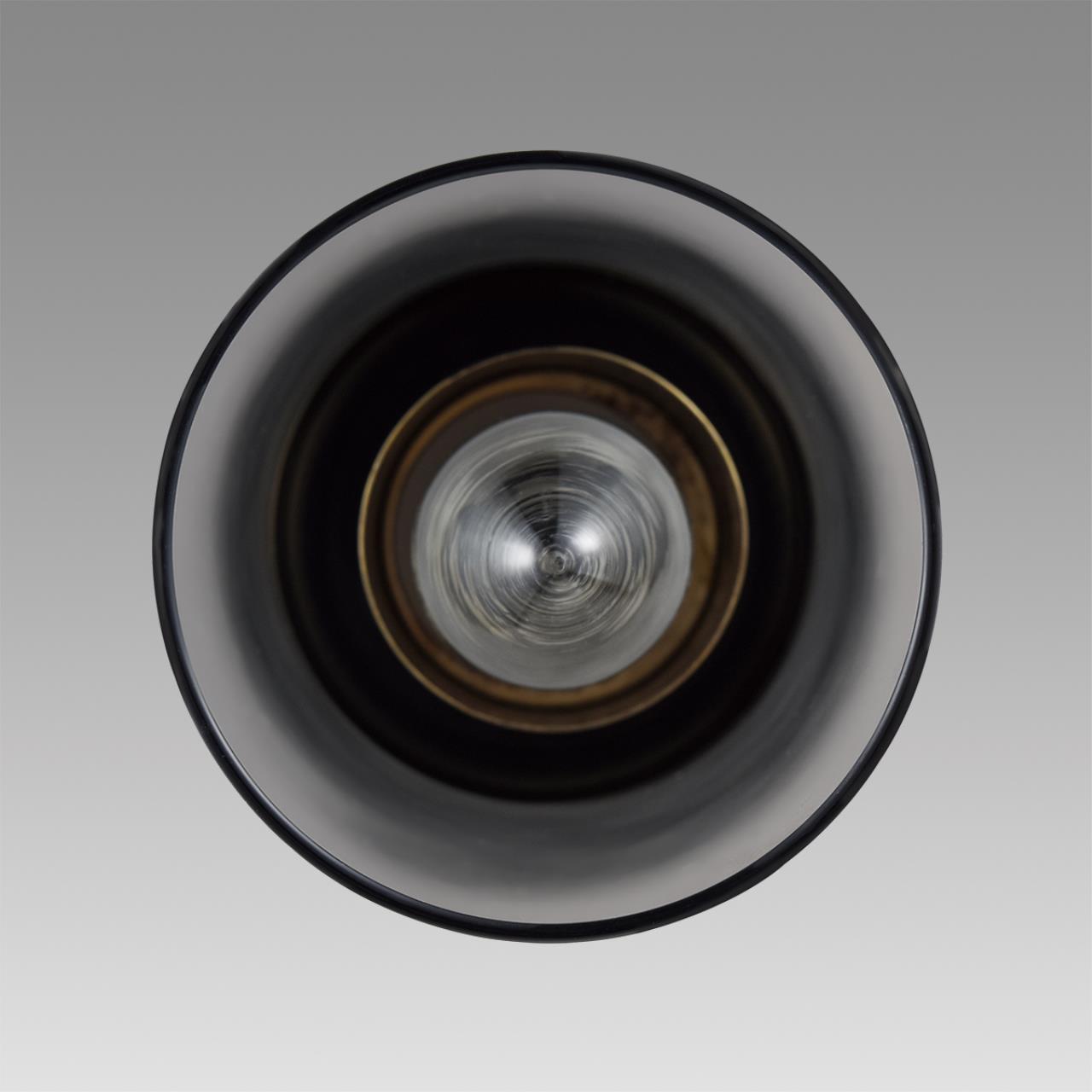 Подвес LUMION COMFI ISHA черный E14*1 10W