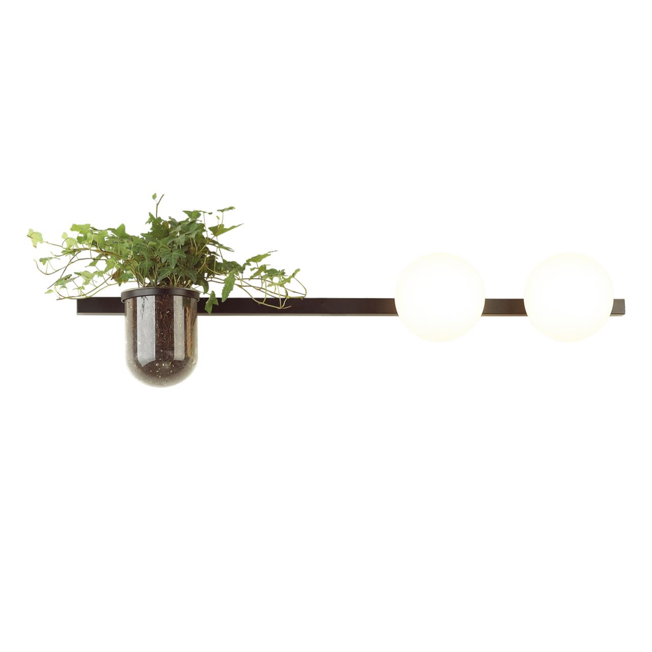 Настенный светильник ODEON LIGHT WALLI FLOWER черный E14*2 10W
