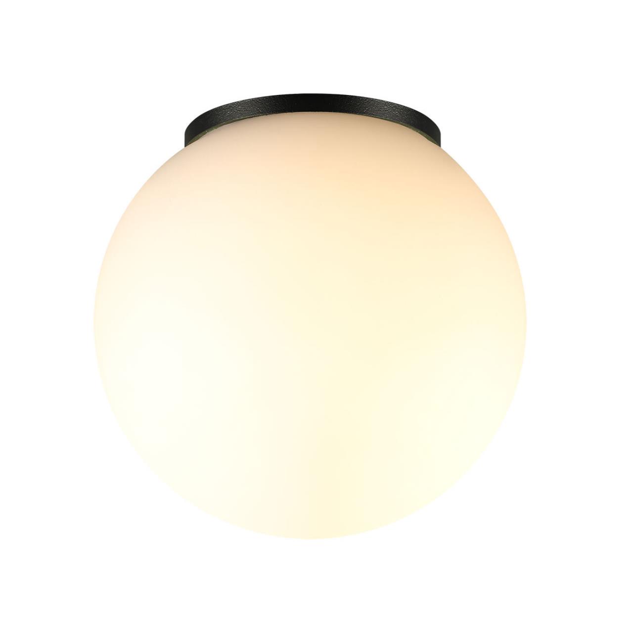 Потолочный светильник ODEON LIGHT NATURE VIVA черный