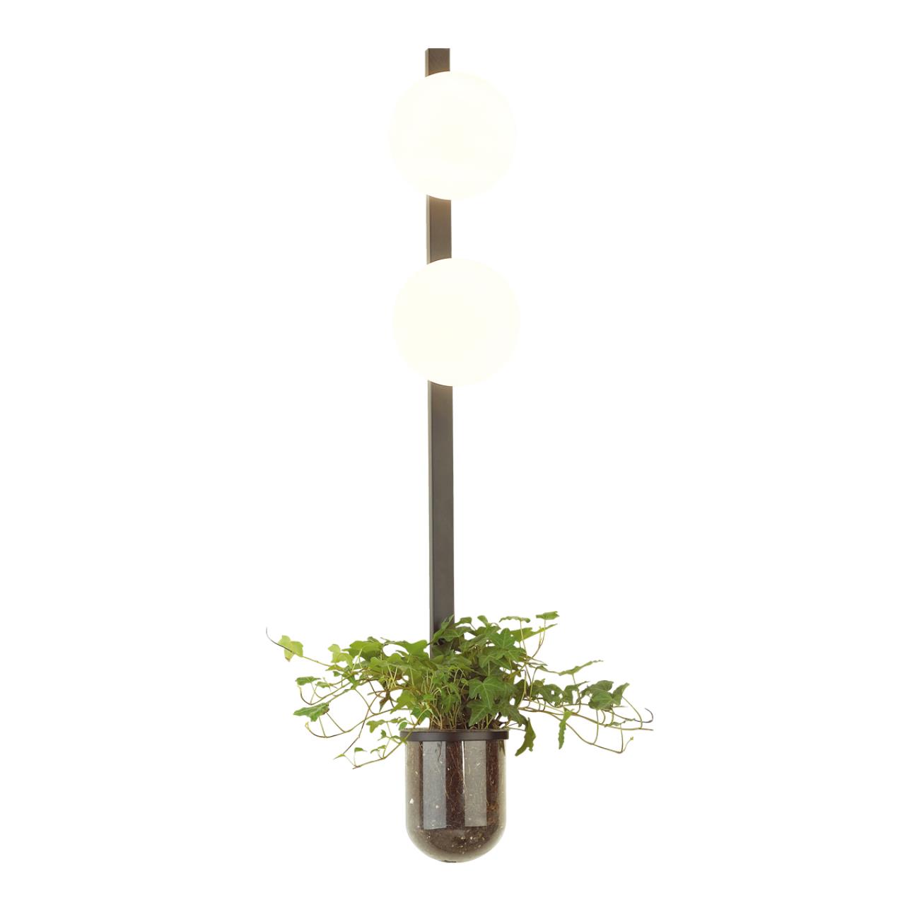 Настенный светильник ODEON LIGHT WALLI FLOWER черный E14*2 10W  970 мм